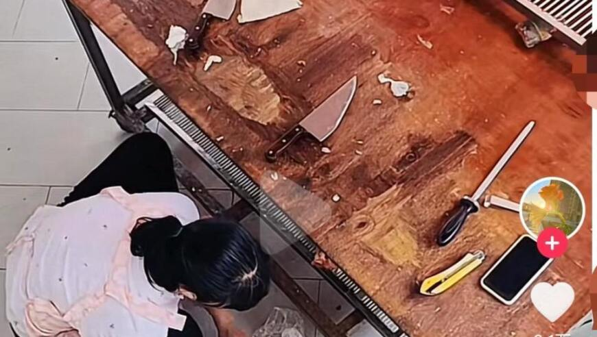 回顾卢武铉朴槿惠弹劾案,香港最准最快资料二四六全年免费大全港免费资料大全,动态词语解释落实_尊享版V14.72